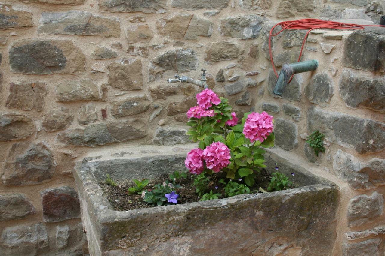 Mas Tulsa Casa Rural Girona Riudellots de la Creu Εξωτερικό φωτογραφία