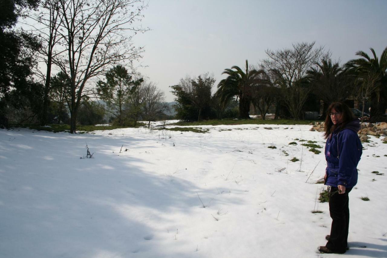 Mas Tulsa Casa Rural Girona Riudellots de la Creu Εξωτερικό φωτογραφία