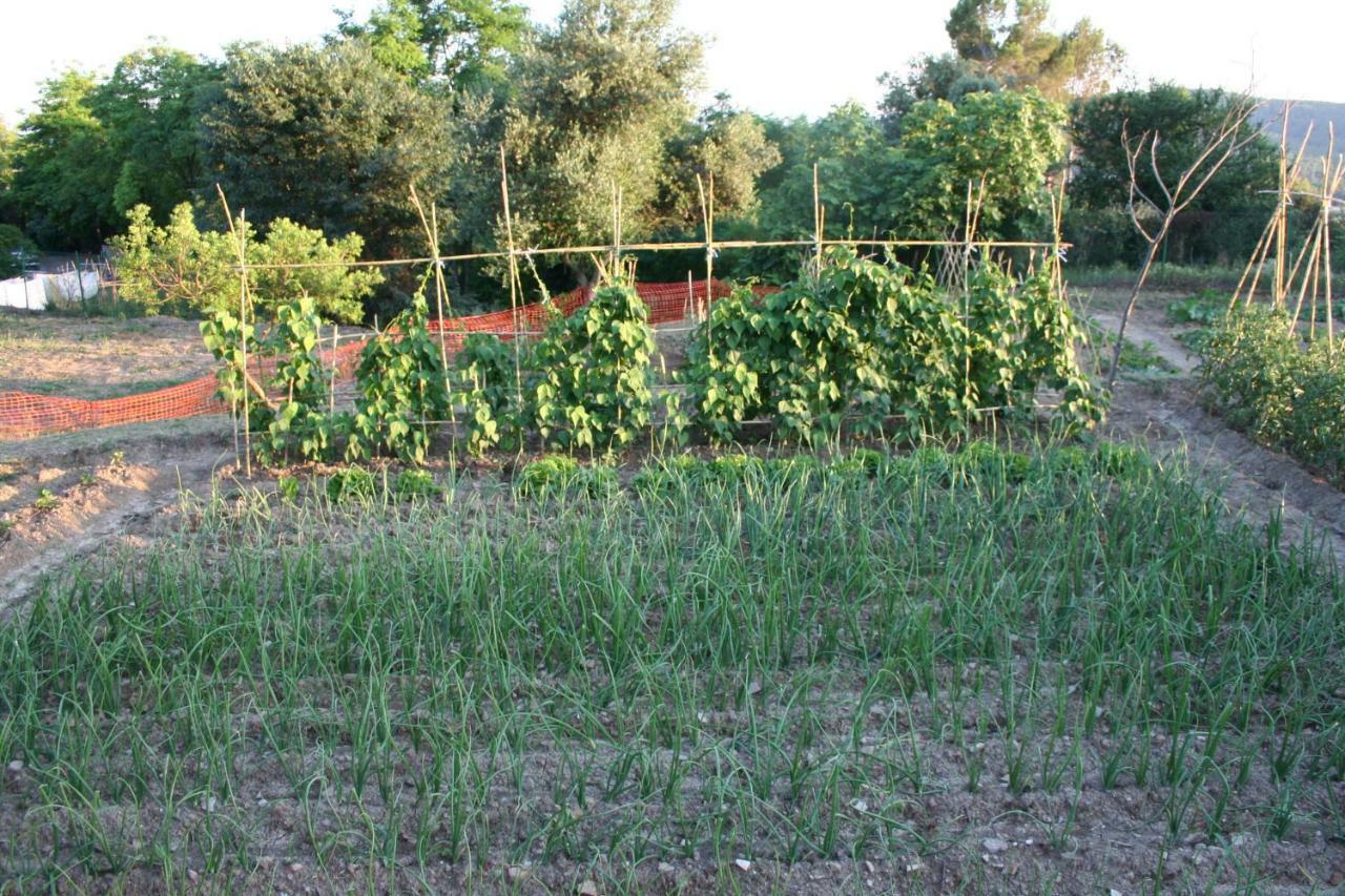 Mas Tulsa Casa Rural Girona Riudellots de la Creu Εξωτερικό φωτογραφία